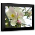 thumbnail image 1 of Popcorn 18x15 Black Modern Framed Museum Art Print Titled - Apple Blossoms III, 1 of 5
