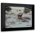 thumbnail image 1 of Popcorn 18x15 Black Modern Framed Museum Art Print Titled - Estes Park 5: Bull Deer II, 1 of 5