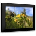 thumbnail image 1 of Popcorn 18x15 Black Modern Framed Museum Art Print Titled - Wildflowers XXVI, 1 of 5