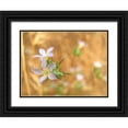 thumbnail image 1 of Popcorn 18x15 Black Ornate Wood Framed with Double Matting Museum Art Print Titled - Purple Flower V, 1 of 4