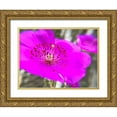 thumbnail image 1 of Popcorn 18x15 Gold Ornate Wood Framed with Double Matting Museum Art Print Titled - Rock Purslane Bloom I, 1 of 4