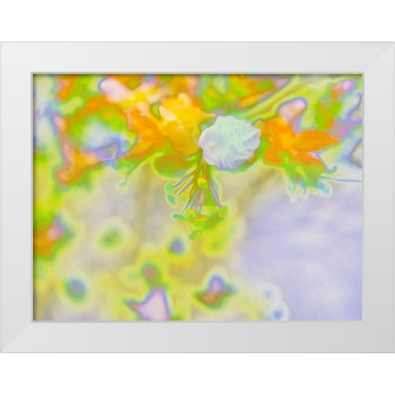 Popcorn 18x15 White Modern Wood Framed Museum Art Print Titled - Color Blast IV