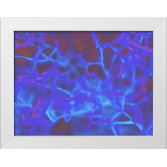 Popcorn 18x15 White Modern Wood Framed Museum Art Print Titled - Confetti III