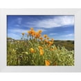 thumbnail image 1 of Popcorn 18x15 White Modern Wood Framed Museum Art Print Titled - Wildflowers XXVII, 1 of 4