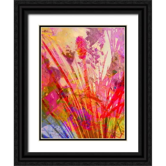 Popcorn 19x24 Black Ornate Wood Framed with Double Matting Museum Art Print Titled - Color Blast XI