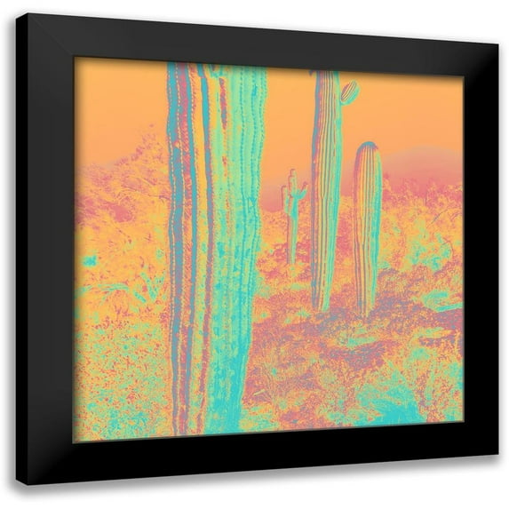 Popcorn 20x20 Black Modern Framed Museum Art Print Titled - Color Blast XII