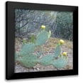 thumbnail image 1 of Popcorn 20x20 Black Modern Framed Museum Art Print Titled - Wildflowers XX, 1 of 5