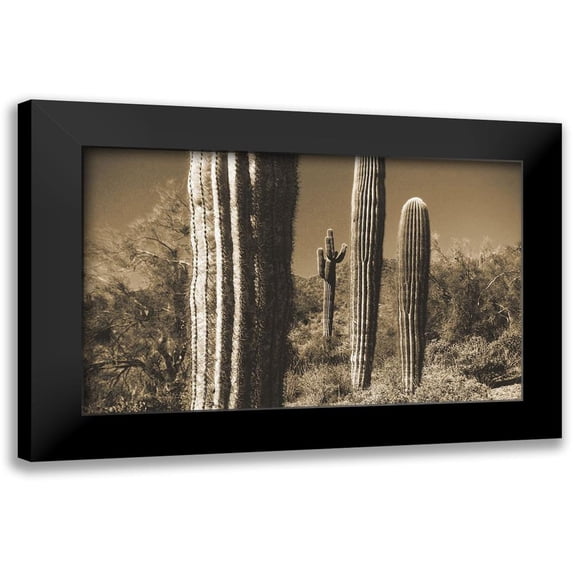 Popcorn 24x16 Black Modern Framed Museum Art Print Titled - Desert Scape 13