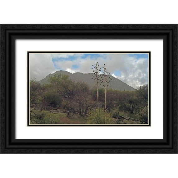 Popcorn 24x16 Black Ornate Wood Framed with Double Matting Museum Art Print Titled - Granite Mountain III
