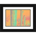 thumbnail image 1 of Popcorn 24x17 Black Ornate Wood Framed with Double Matting Museum Art Print Titled - Color Blast XIII, 1 of 4