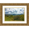thumbnail image 1 of Popcorn 24x17 Gold Ornate Wood Framed with Double Matting Museum Art Print Titled - Bartlett Lake B, 1 of 4