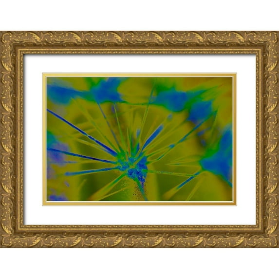 Popcorn 24x17 Gold Ornate Wood Framed with Double Matting Museum Art Print Titled - Color Blast XXIa