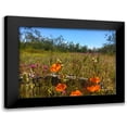 thumbnail image 1 of Popcorn 24x19 Black Modern Framed Museum Art Print Titled - Wildflowers XLVIIX, 1 of 5