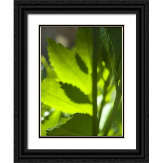 Popcorn 25x32 Black Ornate Wood Framed with Double Matting Museum Art Print Titled - Among Leaves II