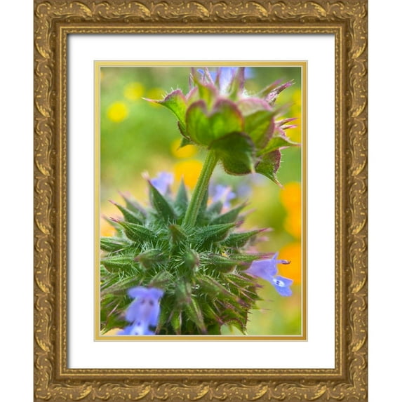 Popcorn 25x32 Gold Ornate Wood Framed with Double Matting Museum Art Print Titled - Wildflowers XL
