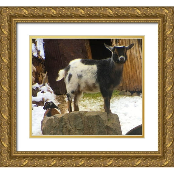 Popcorn 29x26 Gold Ornate Wood Framed with Double Matting Museum Art Print Titled - Two Goats