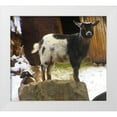 thumbnail image 1 of Popcorn 29x26 White Modern Wood Framed Museum Art Print Titled - Two Goats, 1 of 4