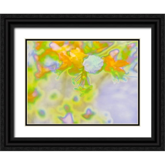 Popcorn 32x25 Black Ornate Wood Framed with Double Matting Museum Art Print Titled - Color Blast IV