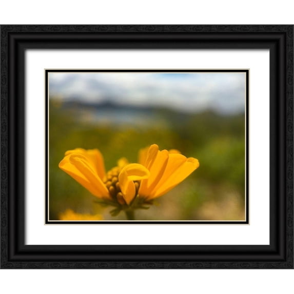 Popcorn 32x25 Black Ornate Wood Framed with Double Matting Museum Art Print Titled - Wildflowers XXXIX