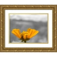 thumbnail image 1 of Popcorn 32x25 Gold Ornate Wood Framed with Double Matting Museum Art Print Titled - Brittle Bush B-W, 1 of 4