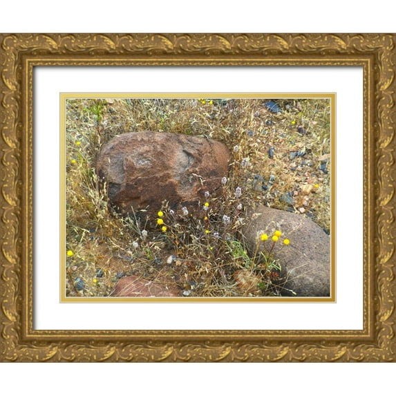 Popcorn 32x25 Gold Ornate Wood Framed with Double Matting Museum Art Print Titled - Sedimentations: Where The Chamomile Grows