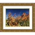 thumbnail image 1 of Popcorn 32x25 Gold Ornate Wood Framed with Double Matting Museum Art Print Titled - Wildflowers XV, 1 of 4