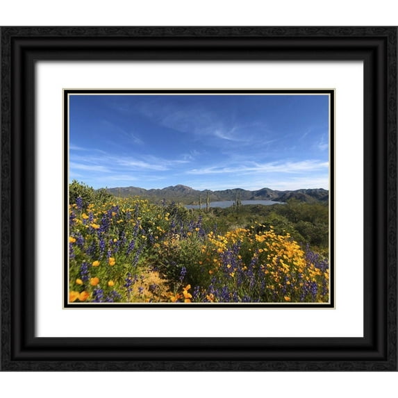 Popcorn 32x26 Black Ornate Wood Framed with Double Matting Museum Art Print Titled - Wildflowers XXV