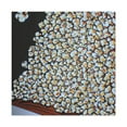 thumbnail image 1 of "Popcorn Minimalism Dream" - Canvas, 1 of 25