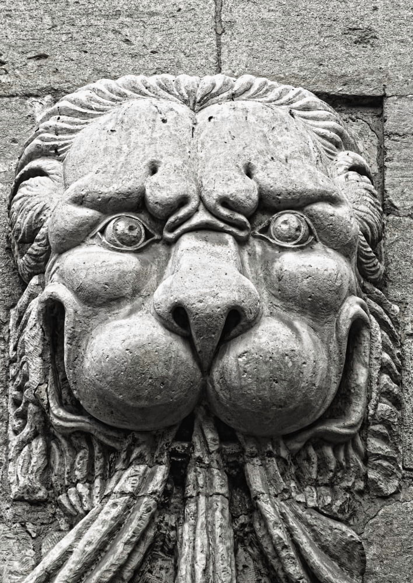Popes Palace Avignon Provence France Lion Sculpture Canvas Art - Carson Ganci Design Pics (22 x 32)