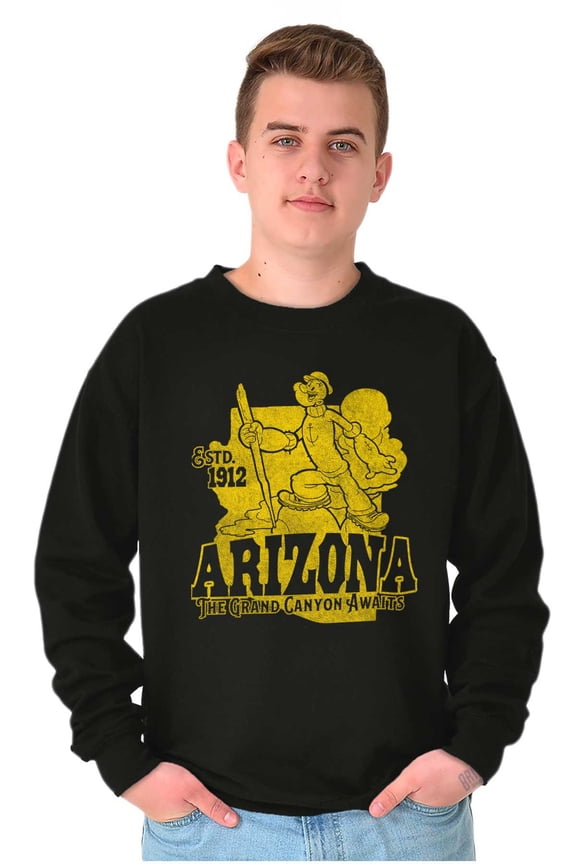 Arizona State AZ Cartoon Unisex Plus Fleece Graphic Sweatshirt Brisco Brands 5X