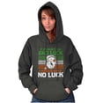 thumbnail image 1 of Popeye Funny Irish Bad Luck Joke Hoodie Sweatshirt Women Men Brisco Brands S, 1 of 6