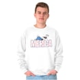thumbnail image 1 of Popeye Ironic America Nickname Funny Unisex Plus Size Sweatshirt Brisco Brands 3X, 1 of 5
