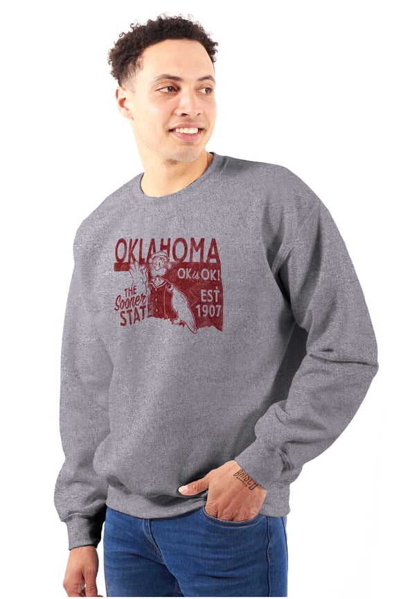 Oklahoma OK Local State Pride Unisex Plus Size Sweatshirt Brisco Brands 2X