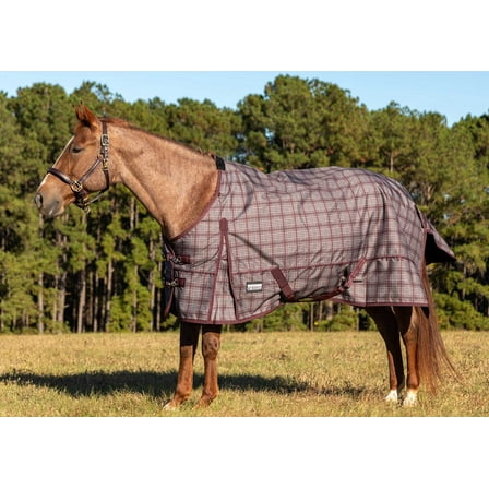Jeffers Poplar Head 600 Denier Turnout Sheet for Horses, 0g Polyfill, 72"- Waterproof Lightweight Horse Blanket, Adjustable Chest Belly Straps, Tail Flap, Stable Blanket - Espresso and Wine Plaid