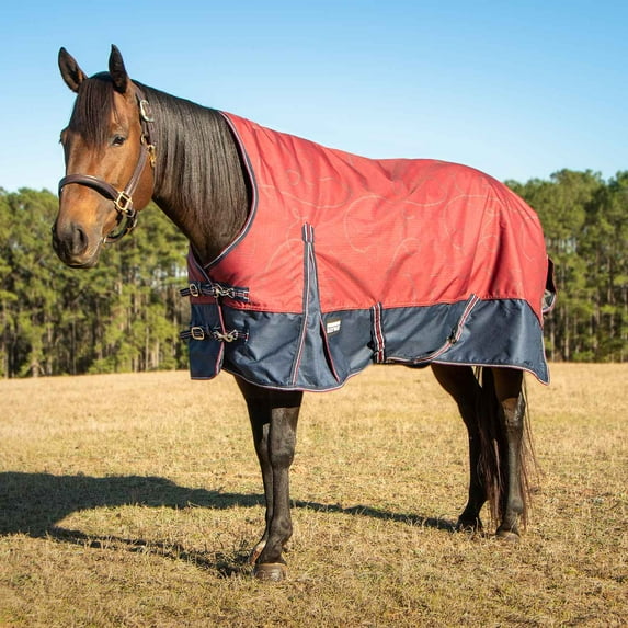 Poplar Head Uniquely English 1200 Denier Turnout Blanket with High Neck, 240 Gram, Merlot Snaffles & Irons, 81"