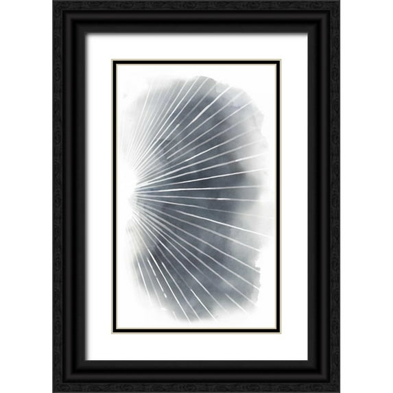 Popp, Grace 10x14 Black Ornate Wood Framed with Double Matting Museum Art Print Titled - Rays II