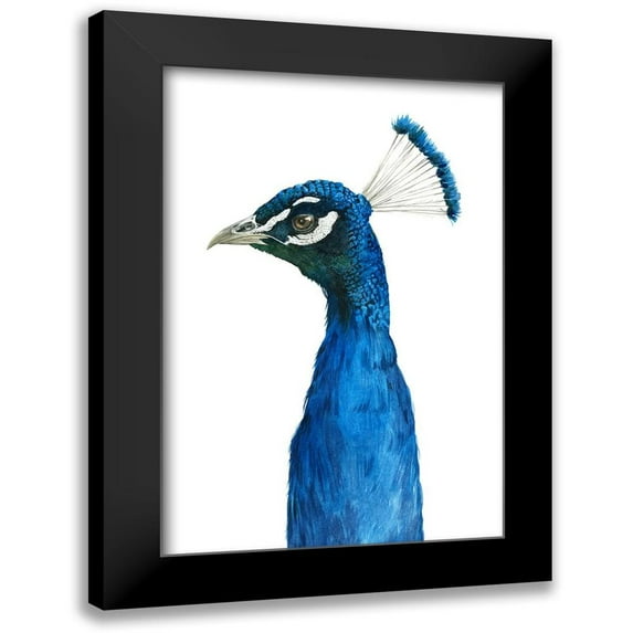 Popp, Grace 11x14 Black Modern Framed Museum Art Print Titled - Peacock Portrait II
