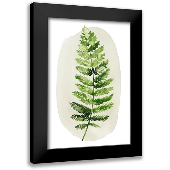 Popp, Grace 11x14 Black Modern Framed Museum Art Print Titled - Spot Fern II