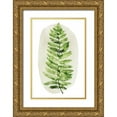 thumbnail image 1 of Popp, Grace 11x14 Gold Ornate Wood Framed with Double Matting Museum Art Print Titled - Spot Fern I, 1 of 4