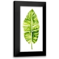 thumbnail image 1 of Popp, Grace 11x18 Black Modern Framed Museum Art Print Titled - Banana Leaf Study I, 1 of 5