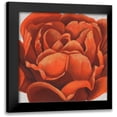 thumbnail image 1 of Popp, Grace 12x12 Black Modern Framed Museum Art Print Titled - Fiery Floral II, 1 of 5