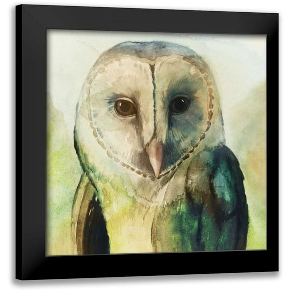 Popp, Grace 12x12 Black Modern Framed Museum Art Print Titled - Harlequin Hibou I