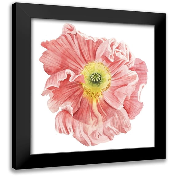 Popp, Grace 12x12 Black Modern Framed Museum Art Print Titled - Market Poppy I