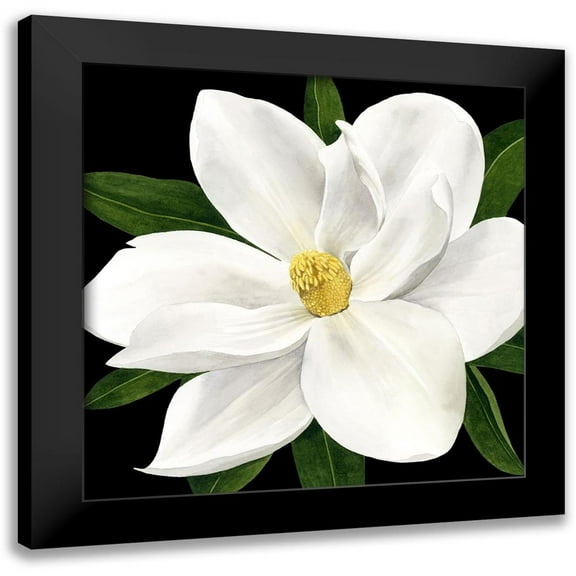 Popp, Grace 12x12 Black Modern Framed Museum Art Print Titled - Midnight Magnolia II