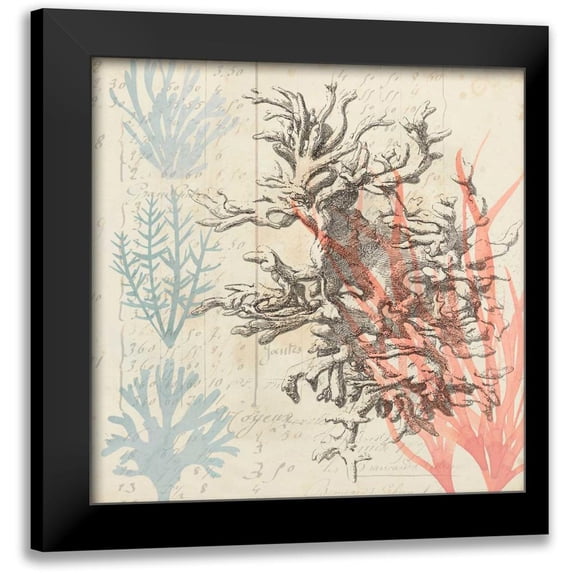 Popp, Grace 12x12 Black Modern Framed Museum Art Print Titled - Sea Ephemera IV