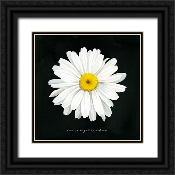 Popp, Grace 12x12 Black Ornate Wood Framed with Double Matting Museum Art Print Titled - Delicate Daisy II