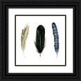 thumbnail image 1 of Popp, Grace 12x12 Black Ornate Wood Framed with Double Matting Museum Art Print Titled - Soft Feathers I, 1 of 4