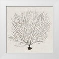 thumbnail image 1 of Popp, Grace 12x12 White Modern Wood Framed Museum Art Print Titled - Shadow Sea Fan II, 1 of 4