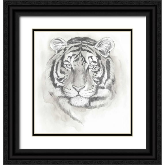 Popp, Grace 12x13 Black Ornate Wood Framed with Double Matting Museum Art Print Titled - Big Cat Study II