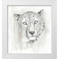 thumbnail image 1 of Popp, Grace 12x13 White Modern Wood Framed Museum Art Print Titled - Big Cat Study I, 1 of 4